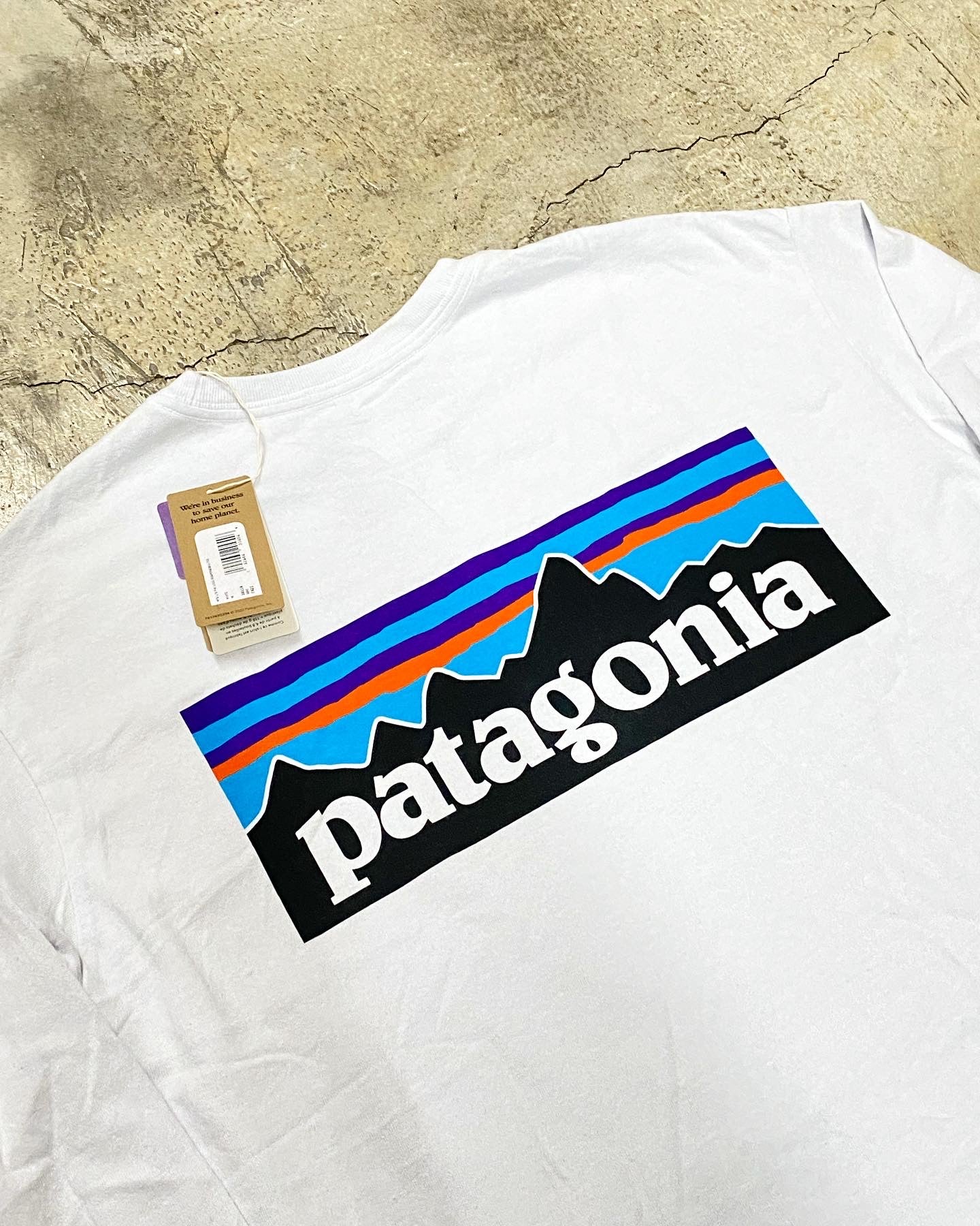 Tee Patagonia blanca manga larga