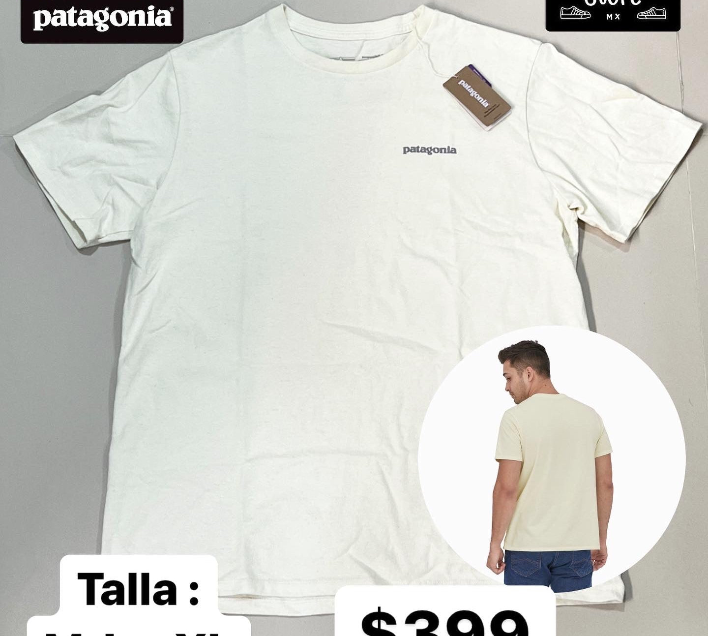 Tee patagonia birch white