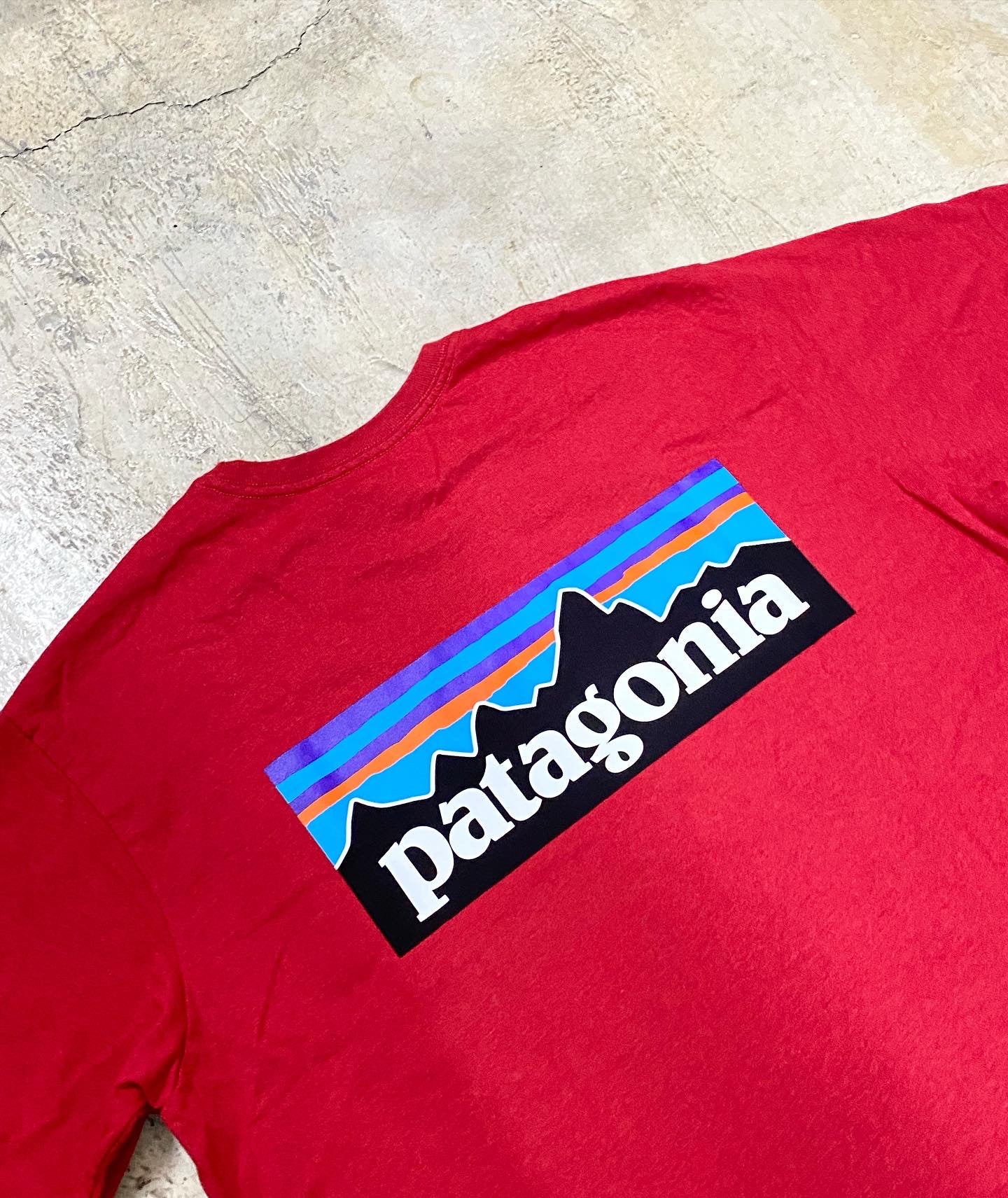 Tee patagonia Sumac Red