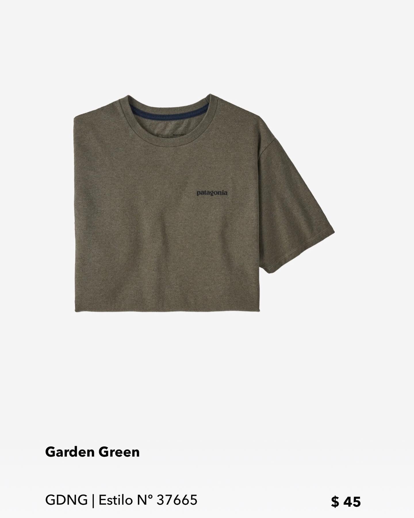 Tee Patagonia Garden Green