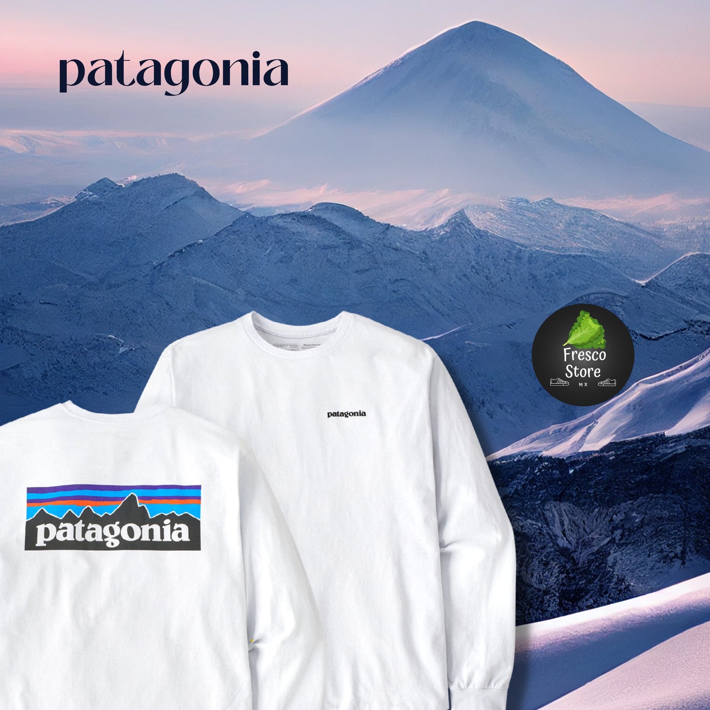 Tee Patagonia blanca manga larga